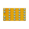EPC2033ENGRT